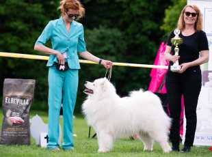 Klubová Výstava Kroměříž   20250105 7